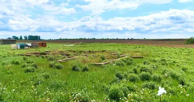 Działka w Sitniki, Białoruś