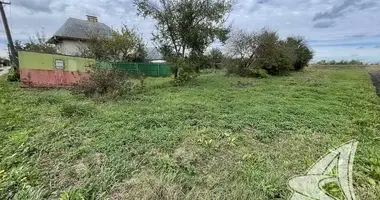 Plot of land in carnaucycki sielski Saviet, Belarus