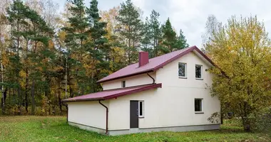 House in Valciunai, Lithuania