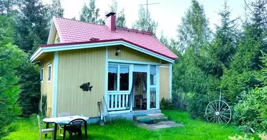 Dom w Outokumpu, Finlandia
