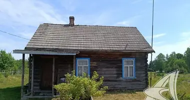 House in Znamienski sielski Saviet, Belarus