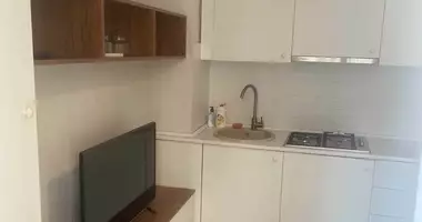 Apartment for rent in Vake  in Tbilisi, Georgia