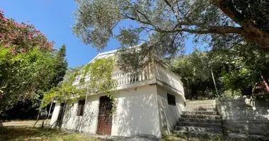Haus 3 Schlafzimmer in Zankovici, Montenegro