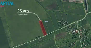 Działka w Rubno, Litwa