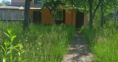 House in Tracciakouski sielski Saviet, Belarus