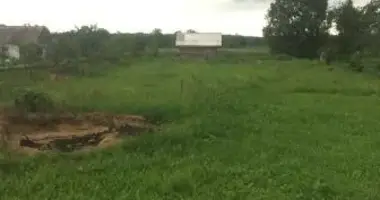 Дом в Полыковичский сельский Совет, Беларусь