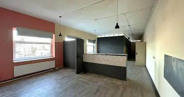 Nieruchomości komercyjne 183 m² w Budiskes, Litwa