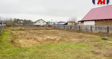 Plot of land in Niemanicki sielski Saviet, Belarus