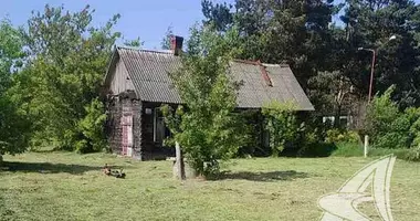House in Kamarouka, Belarus