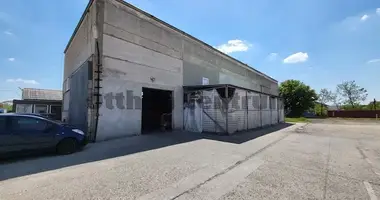 Commercial property 420 m² in Budapest, Hungary