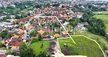 Plot of land in Pererenan, Indonesia