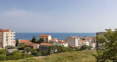 Wohnung 1 Schlafzimmer in Becici, Montenegro