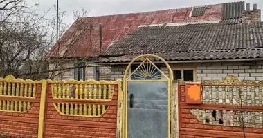 Maison dans Babinicki sielski Saviet, Biélorussie