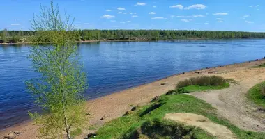 Terrain dans Pavlovo, Fédération de Russie