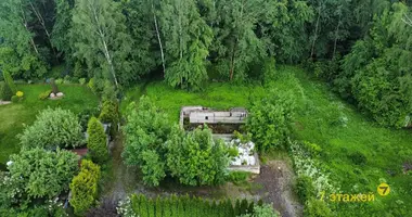 Dom w Kalodziscanski siel ski Saviet, Białoruś