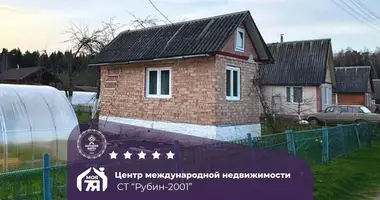 Dom w Ciurliouski sielski Saviet, Białoruś