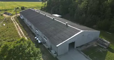 Commercial property 1 490 m² in Lahojsk selsaviet, Belarus