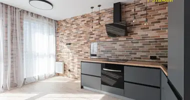 1 room apartment in Minsk, Belarus