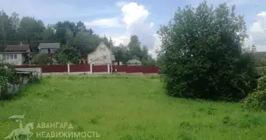 Plot of land in Ozyaritska-Slabadski rural council, Belarus