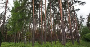 Plot of land in Navapolatsk, Belarus
