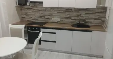 Appartement 1 chambre dans Minsk, Biélorussie