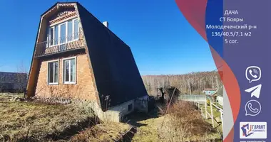 House in Krasnienski sielski Saviet, Belarus