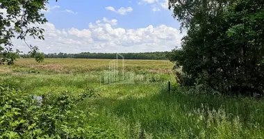 Plot of land in Georgia