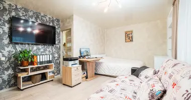 1 bedroom apartment in Minsk, Belarus