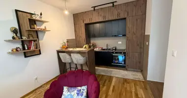 Apartamento 1 habitacion en Montenegro