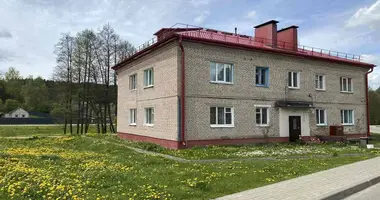 Mieszkanie 3 pokoi w Astrasyckaharadocki sielski Saviet, Białoruś