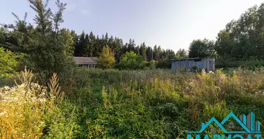 Grundstück in Rakauski sielski Saviet, Weißrussland