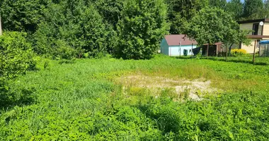 Plot of land in Volosovo, Russia