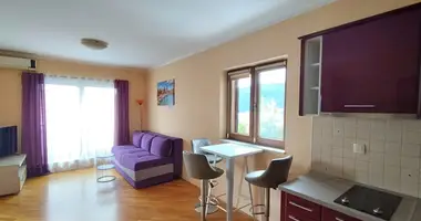 1 bedroom apartment in Montenegro