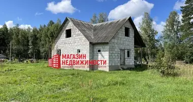 Haus in Parecki sielski Saviet, Belarus