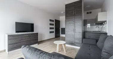 Wohnung 1 zimmer in Posen, Polen