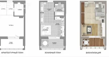 1 room apartment in Minsk, Belarus