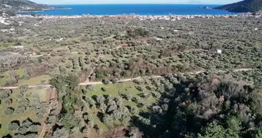Grundstück in Griechenland