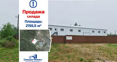 Склад 2 156 м² в Смолевичи, Беларусь