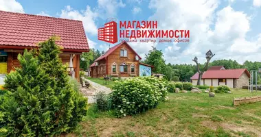 House in Mirski sielski Saviet, Belarus