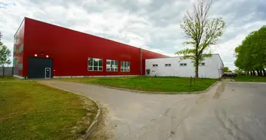 Produktion 3 983 m² in Krytschau, Belarus