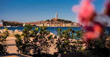 Hotel 618 m² en Roviño, Croacia