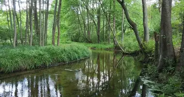 Plot of land in Elektrenai, Lithuania