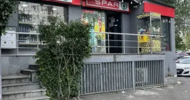 Propriété commerciale 140 m² dans Tbilissi, Géorgie