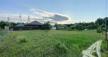 Plot of land in Muchaviecki sielski Saviet, Belarus