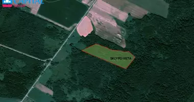 Plot of land in Narkunai, Lithuania