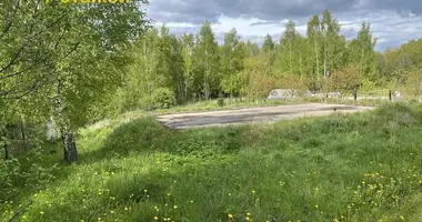 Участок земли в Олехновичи, Беларусь