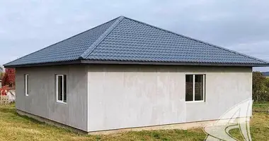 House in Znamienka, Belarus