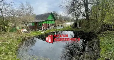Haus in Hozski sielski Saviet, Weißrussland