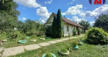 House in Krasnadvorski sielski Saviet, Belarus