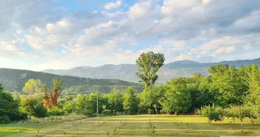 Terrain dans Municipalité de Danilovgrad, Monténégro